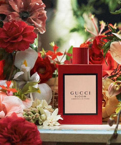 gucci blooms collection